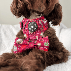 Trail & Glow® Dog Harness - Winter Wonderland - Bailey and Coco (UK)