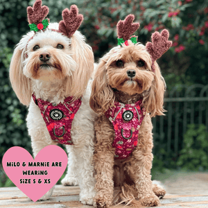 Trail & Glow® Dog Harness - Winter Wonderland - Bailey and Coco (UK)
