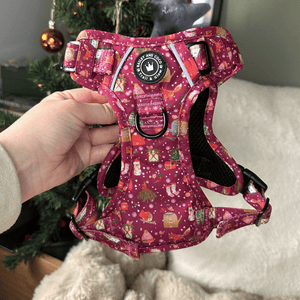 Trail & Glow® Dog Harness - Winter Wonderland - Bailey and Coco (UK)