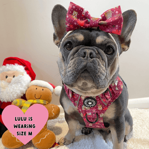Trail & Glow® Dog Harness - Winter Wonderland - Bailey and Coco (UK)