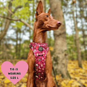 Trail & Glow® Dog Harness - Winter Wonderland - Bailey and Coco (UK)