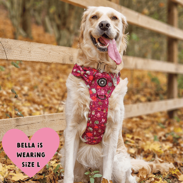 Trail & Glow® Dog Harness - Winter Wonderland - Bailey and Coco (UK)