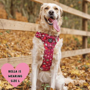 Trail & Glow® Dog Harness - Winter Wonderland - Bailey and Coco (UK)