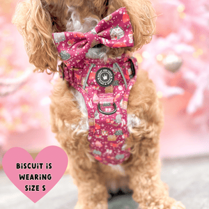 Trail & Glow® Dog Harness - Winter Wonderland - Bailey and Coco (UK)