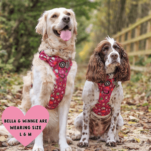 Trail & Glow® Dog Harness - Winter Wonderland - Bailey and Coco (UK)
