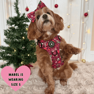 Trail & Glow® Dog Harness - Winter Wonderland - Bailey and Coco (UK)