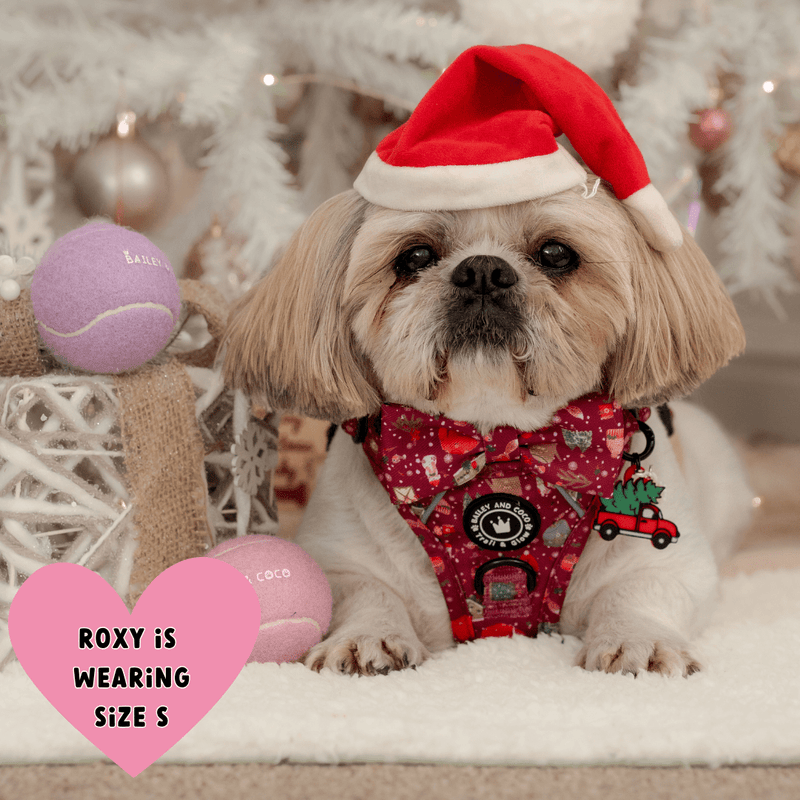Trail & Glow® Dog Harness - Winter Wonderland - Bailey and Coco (UK)