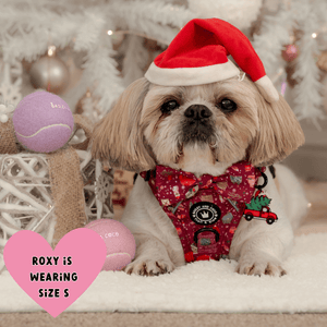 Trail & Glow® Dog Harness - Winter Wonderland - Bailey and Coco (UK)