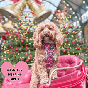 Trail & Glow® Dog Harness - Winter Wonderland - Bailey and Coco (UK)