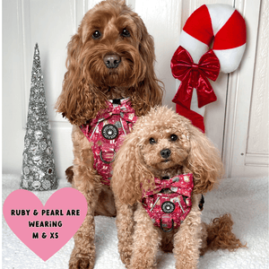 Trail & Glow® Dog Harness - Winter Wonderland - Bailey and Coco (UK)
