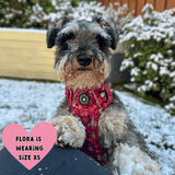 Trail & Glow® Dog Harness - Winter Wonderland - Bailey and Coco (UK)