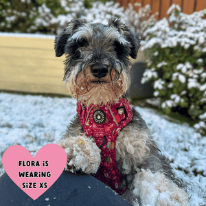 Trail & Glow® Dog Harness - Winter Wonderland - Bailey and Coco (UK)