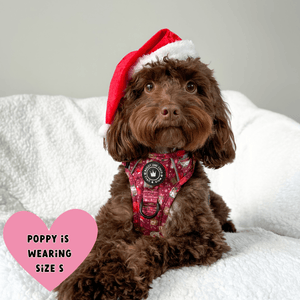 Trail & Glow® Dog Harness - Winter Wonderland - Bailey and Coco (UK)