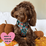best cockapoo harness