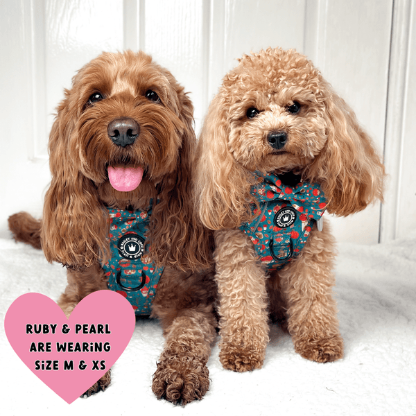 Trail & Glow® Dog Harness - Woodland Magic - alternate view
