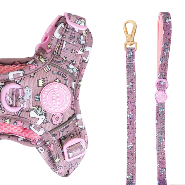 Trail & Glow Dog Lead 5ft - Colour Drops - Be Unique Unicorn - Bailey and Coco (UK)