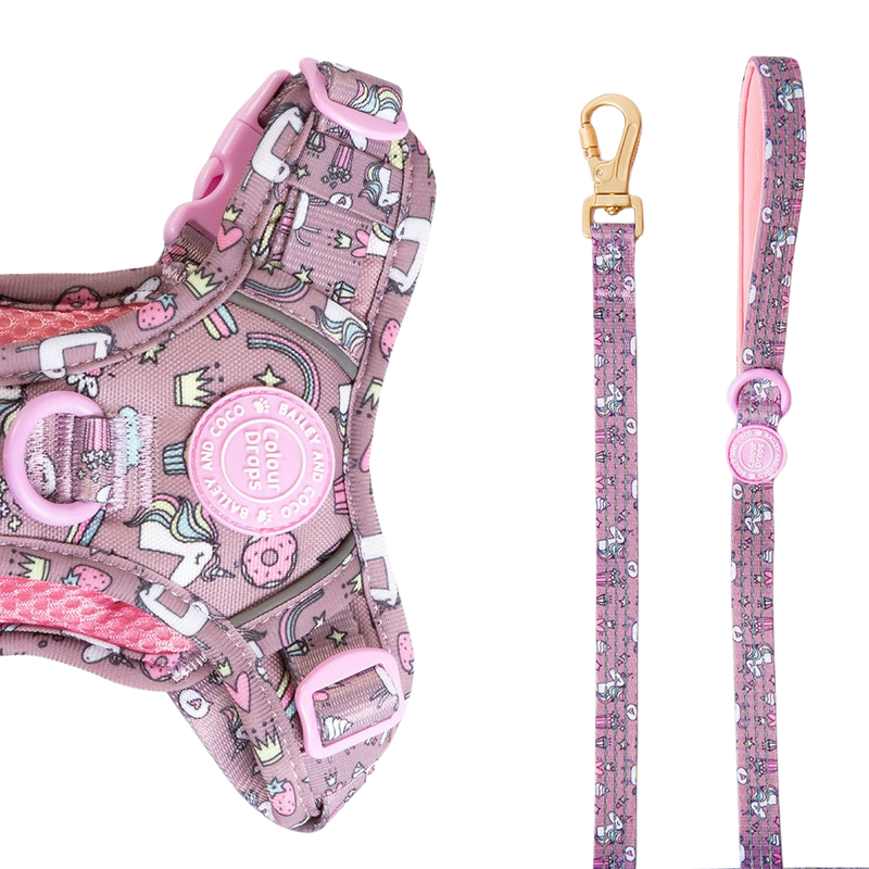 Trail & Glow Dog Lead 5ft - Colour Drops - Be Unique Unicorn - Bailey and Coco (UK)