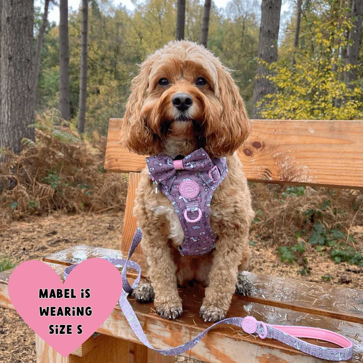 Trail & Glow Dog Lead 5ft - Colour Drops - Be Unique Unicorn - Bailey and Coco (UK)