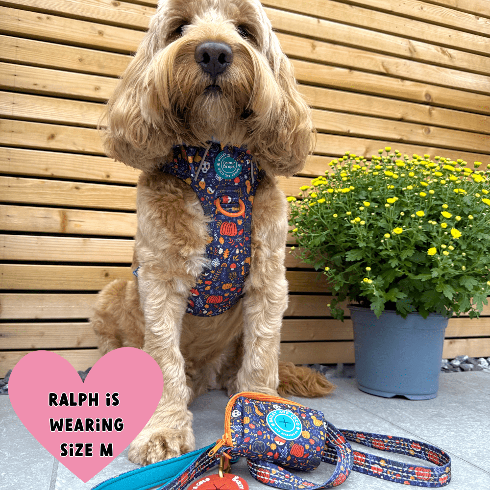 Trail & Glow® Dog Lead 5ft - COLOUR DROPS® - Bewitched - Bailey and Coco (UK)