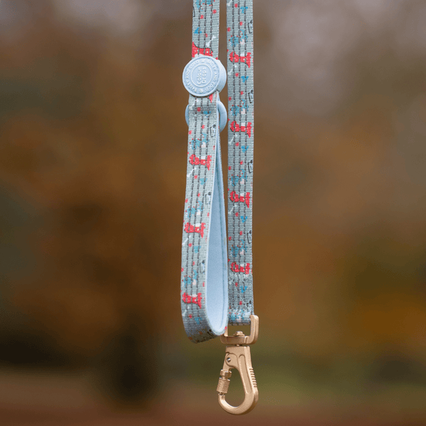 Trail & Glow Dog Lead 5ft - Colour Drops - Dino Party - alternate view