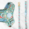 Trail & Glow Dog Lead 5ft - Colour Drops - Dino Party - Bailey and Coco (UK)