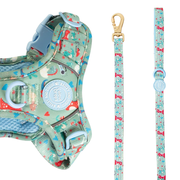 Trail & Glow Dog Lead 5ft - Colour Drops - Dino Party - Bailey and Coco (UK)