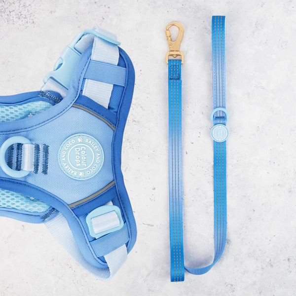 Trail & Glow® Dog Lead 5ft - COLOUR DROPS® - Head in the Clouds - Bailey and Coco (UK)