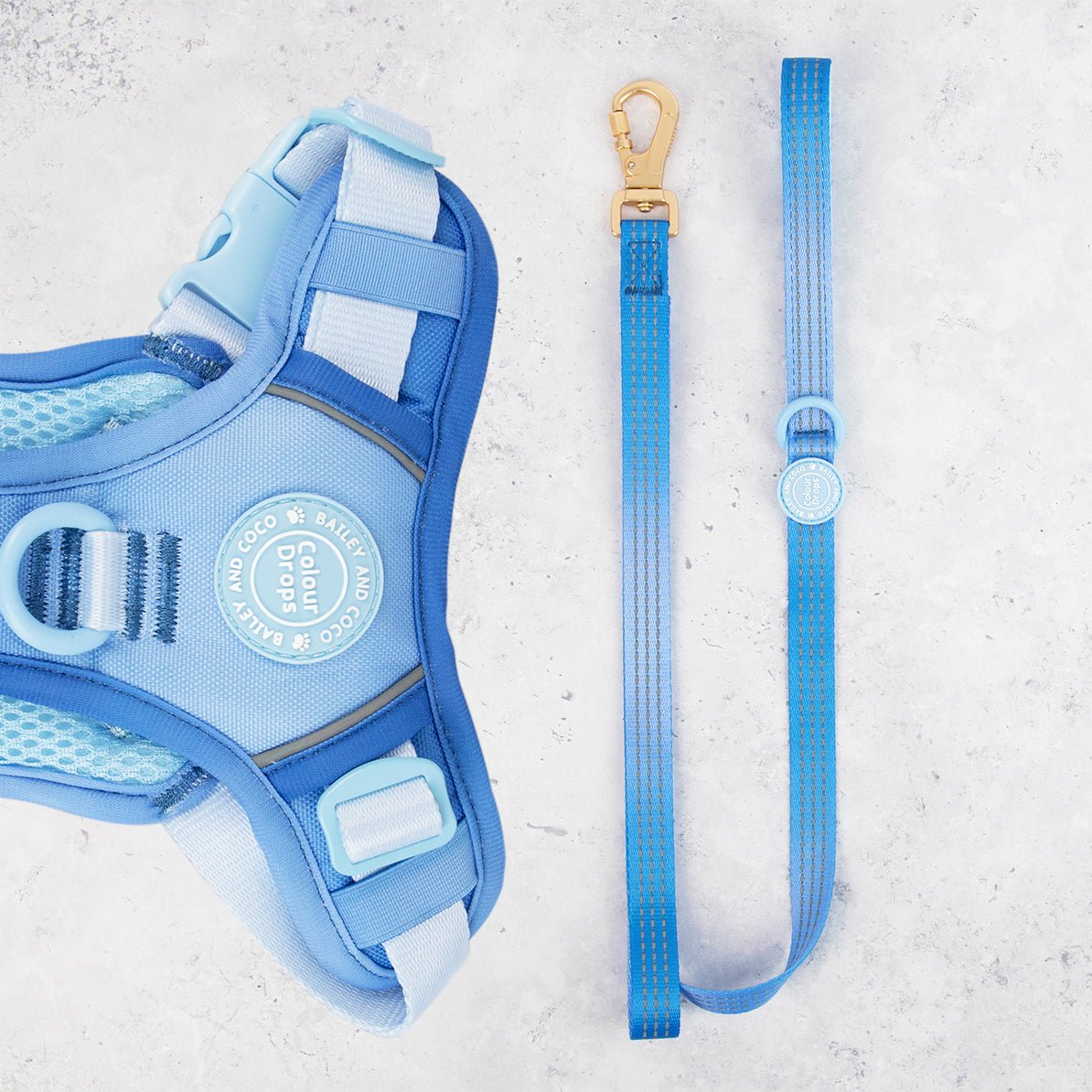 Trail & Glow® Dog Lead 5ft - COLOUR DROPS® - Head in the Clouds - Bailey and Coco (UK)