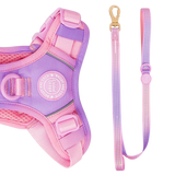 Trail & Glow® Dog Lead 5ft - COLOUR DROPS® - Love that for you - Bailey and Coco (UK)