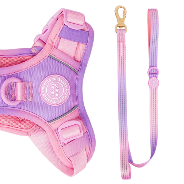 Trail & Glow® Dog Lead 5ft - COLOUR DROPS® - Love that for you - Bailey and Coco (UK)