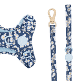 Trail & Glow Dog Lead 5ft - Colour Drops - Loves me, Loves me not - Bailey and Coco (UK)