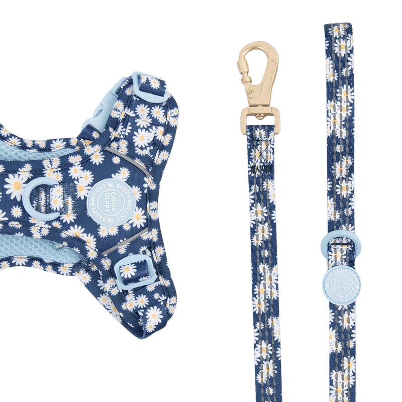 Trail & Glow Dog Lead 5ft - Colour Drops - Loves me, Loves me not - Bailey and Coco (UK)