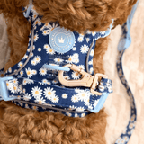 Trail & Glow Dog Lead 5ft - Colour Drops - Loves me, Loves me not - Bailey and Coco (UK)