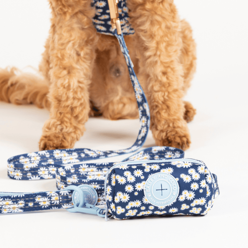 Trail & Glow Dog Lead 5ft - Colour Drops - Loves me, Loves me not - Bailey and Coco (UK)