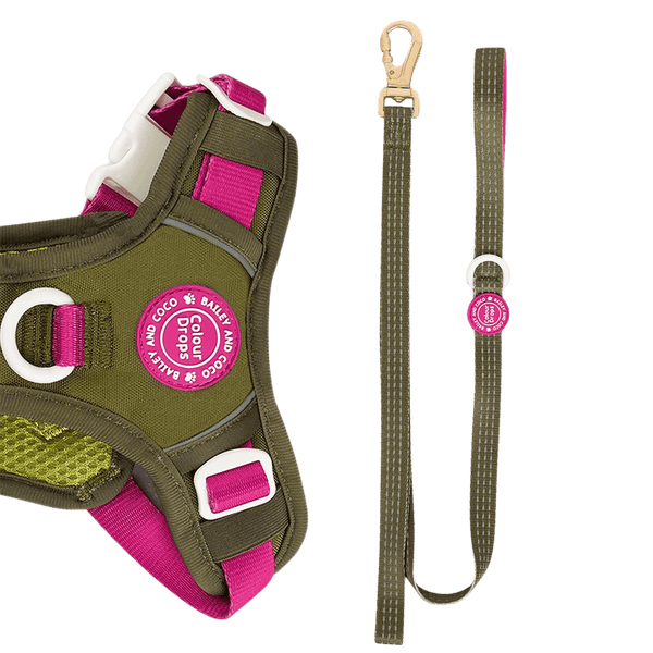 Trail & Glow® Dog Lead 5ft - COLOUR DROPS® - Olive it Hot - Bailey and Coco (UK)