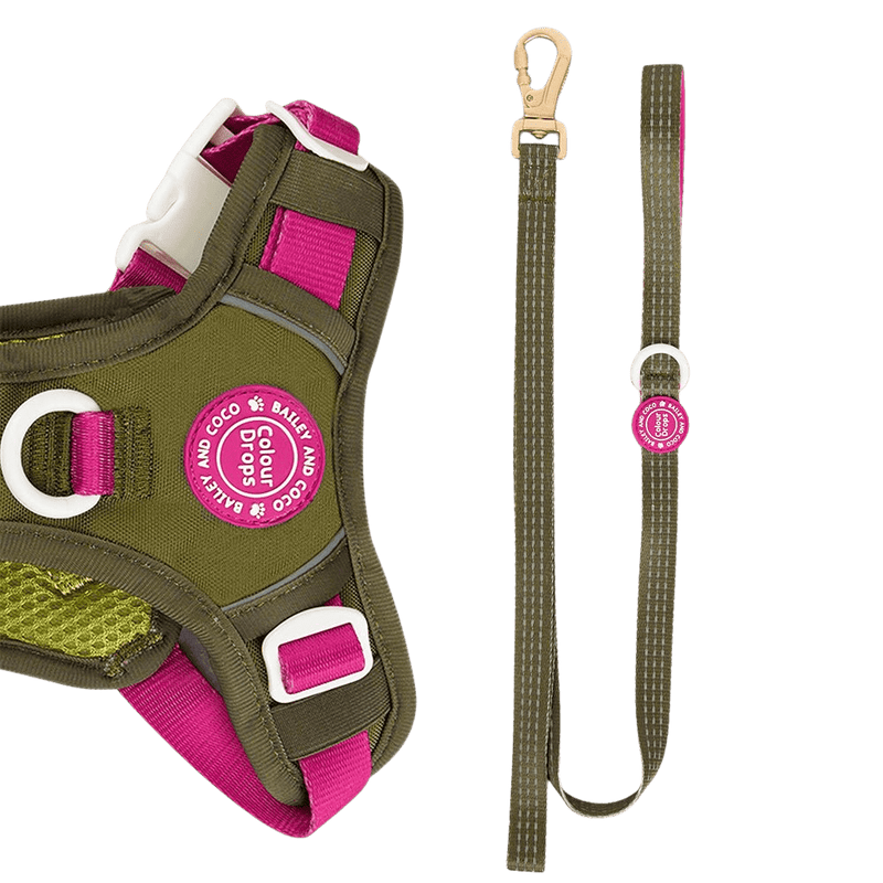 Trail & Glow® Dog Lead 5ft - COLOUR DROPS® - Olive it Hot - Bailey and Coco (UK)
