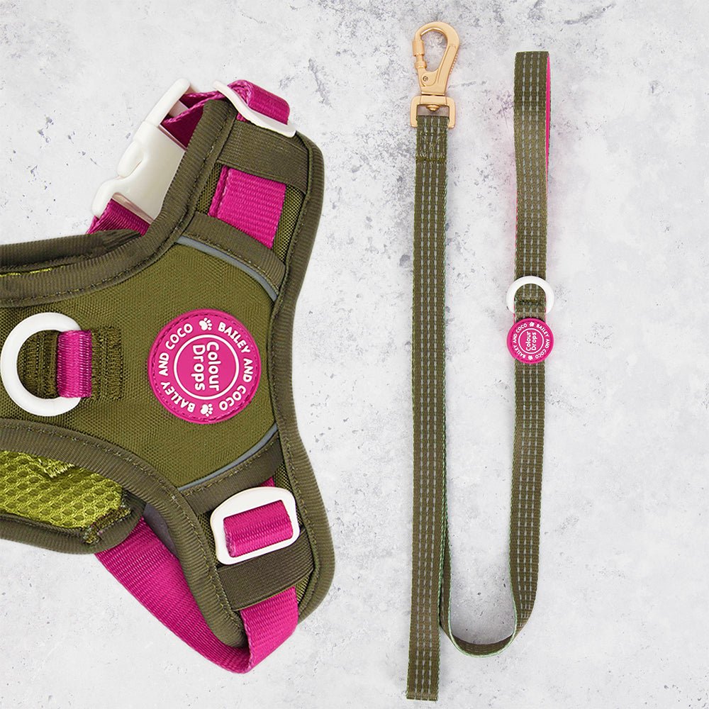 Trail & Glow® Dog Lead 5ft - COLOUR DROPS® - Olive it Hot - Bailey and Coco (UK)