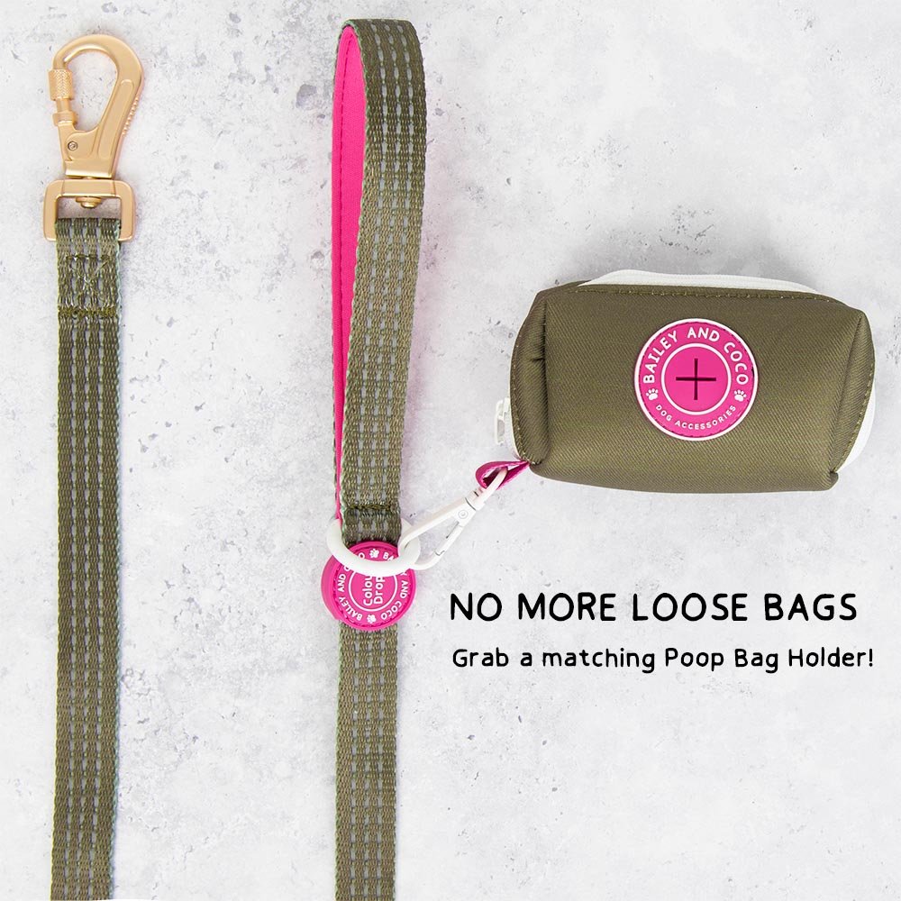 Trail & Glow® Dog Lead 5ft - COLOUR DROPS® - Olive it Hot - Bailey and Coco (UK)