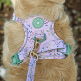 Trail & Glow® Dog Lead 5ft - COLOUR DROPS® - Pick Me - Bailey and Coco (UK)