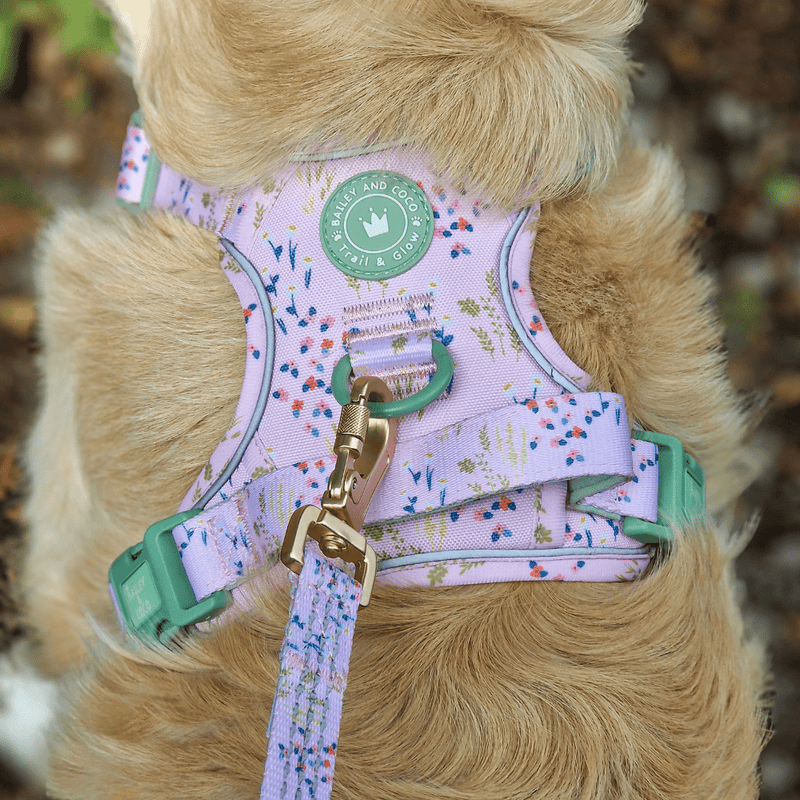 Trail & Glow® Dog Lead 5ft - COLOUR DROPS® - Pick Me - Bailey and Coco (UK)