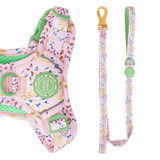 Trail & Glow® Dog Lead 5ft - COLOUR DROPS® - Pick Me - Bailey and Coco (UK)