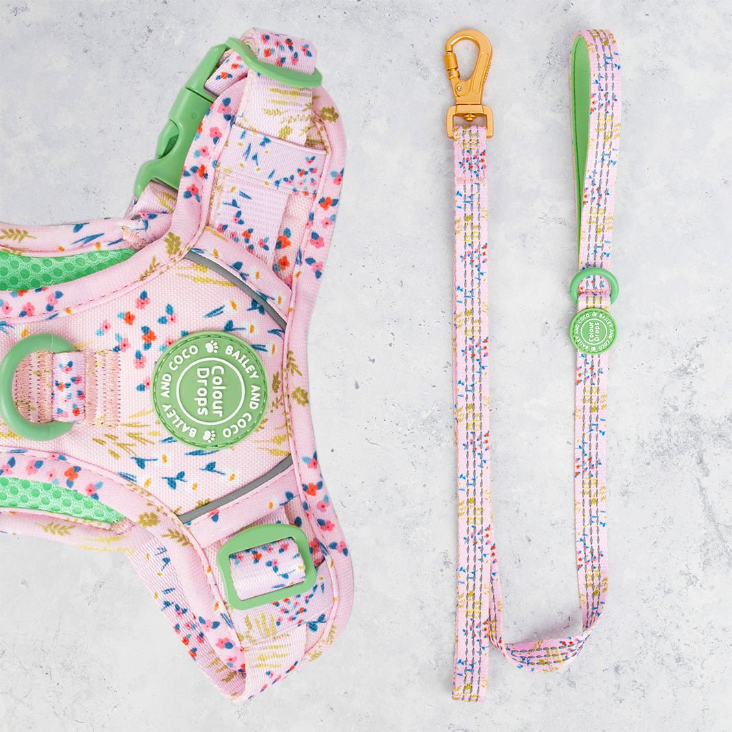 Trail & Glow® Dog Lead 5ft - COLOUR DROPS® - Pick Me - Bailey and Coco (UK)