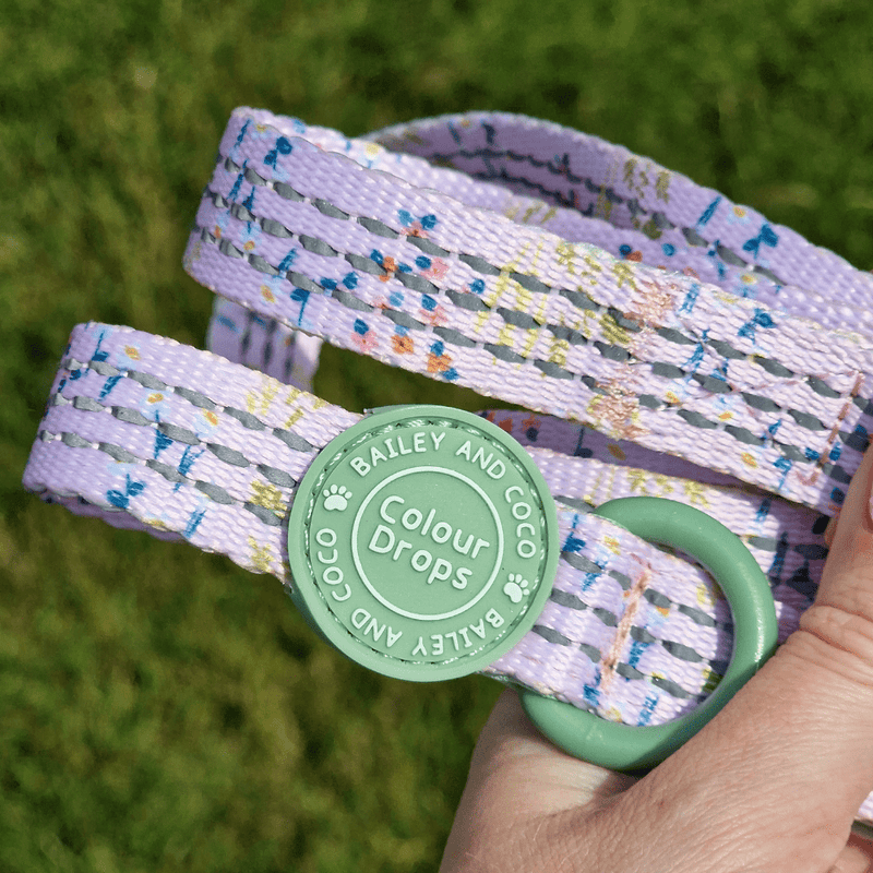 Trail & Glow® Dog Lead 5ft - COLOUR DROPS® - Pick Me - Bailey and Coco (UK)