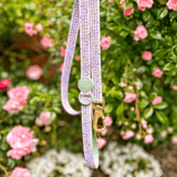 Trail & Glow® Dog Lead 5ft - COLOUR DROPS® - Pick Me - Bailey and Coco (UK)