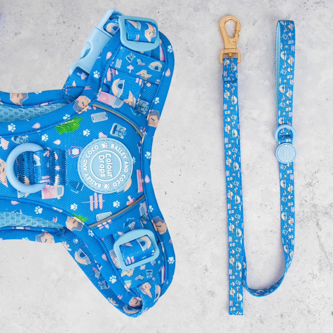 Trail & Glow® Dog Lead 5ft - COLOUR DROPS® - Pitch, Please - Bailey and Coco (UK)