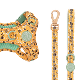 Trail & Glow Dog Lead 5ft - Colour Drops - Wanna - Bee - Bailey and Coco (UK)