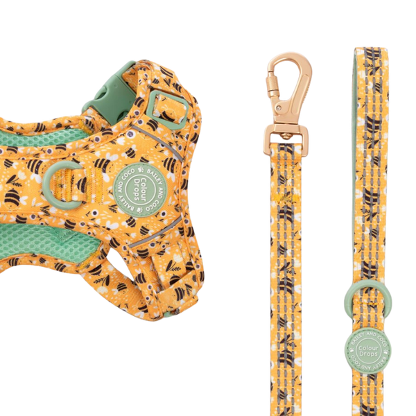 Trail & Glow Dog Lead 5ft - Colour Drops - Wanna - Bee - Bailey and Coco (UK)