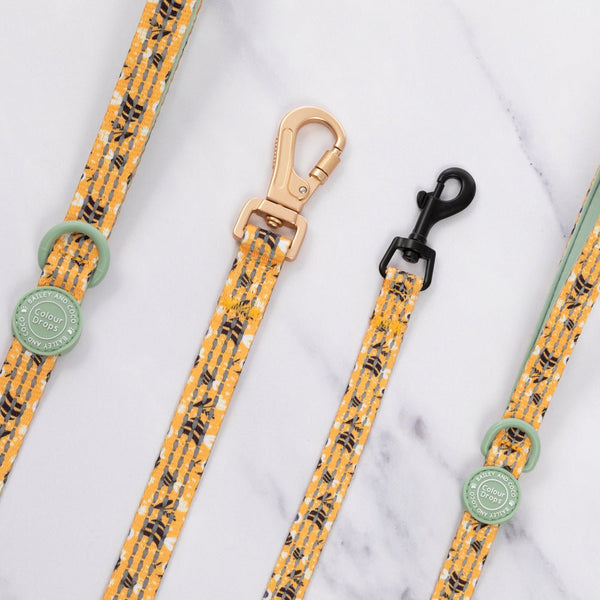 Trail & Glow Dog Lead 5ft - Colour Drops - Wanna - Bee - Bailey and Coco (UK)