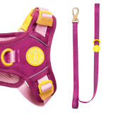 Trail & Glow® Dog Lead 5ft - COLOUR DROPS® - We're Jammin' - Bailey and Coco (UK)