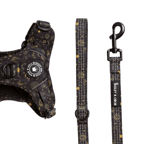 Trail & Glow® Fabric Dog Lead 5ft - Celestial - Bailey and Coco (UK)